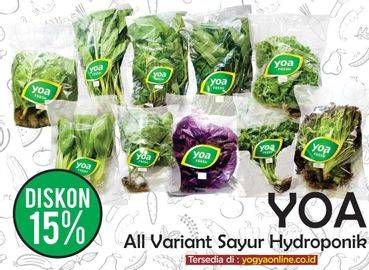 Promo Harga Sayur Hidroponik All Variants  - Yogya