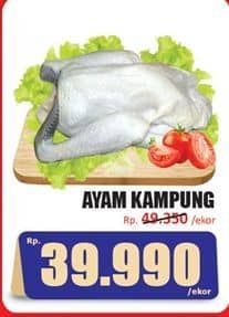 Promo Harga Ayam Kampung 500 gr - Hari Hari