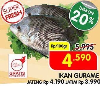 Promo Harga Ikan Gurame per 100 gr - Superindo