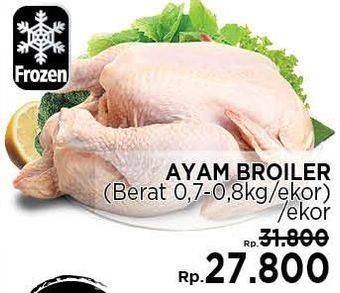 Promo Harga Ayam Broiler  - LotteMart