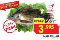 Promo Harga Ikan Mujair per 100 gr - Superindo