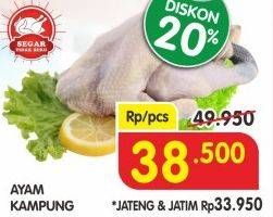 Promo Harga Ayam Kampung  - Superindo