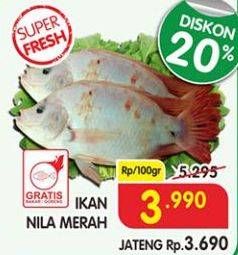 Promo Harga Ikan Nila Merah per 100 gr - Superindo