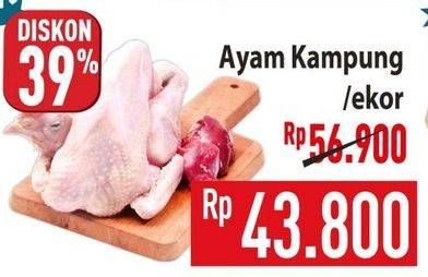 Promo Harga Ayam Kampung 600 gr - Hypermart