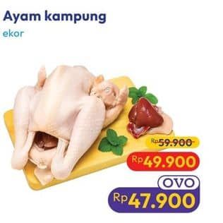 Ayam Kampung