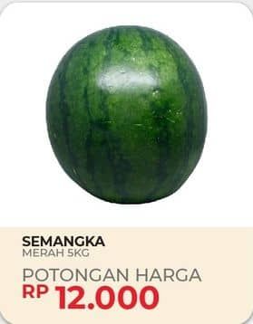 Promo Harga Semangka Merah per 5 kg - Yogya