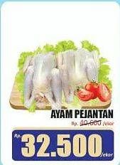 Promo Harga Ayam Pejantan 700 gr - Hari Hari