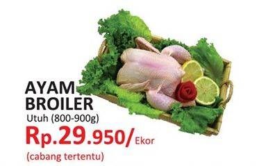 Promo Harga Ayam Broiler  - Yogya