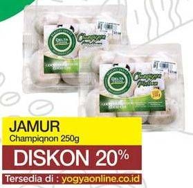 Promo Harga Jamur Champignon (Jamur Kancing) 250 gr - Yogya