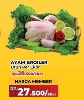 Promo Harga Ayam Broiler 500 gr - Yogya