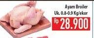 Promo Harga Ayam Broiler  - Hypermart