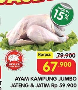 Promo Harga Ayam Kampung 500 gr - Superindo