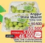 Promo Harga Anggur Shine Muscat 500 gr - LotteMart