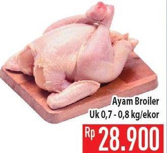 Promo Harga Ayam Broiler  - Hypermart