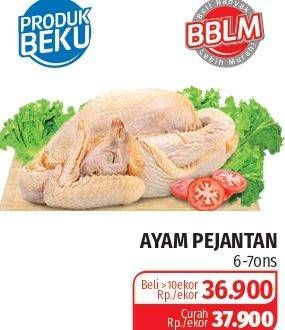 Promo Harga Ayam Pejantan  - Lotte Grosir