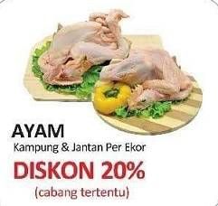 Promo Harga Ayam Kampung & Ayam Jantan  - Yogya