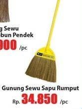 Promo Harga CLEAN MATIC Grass Broom  - Hari Hari