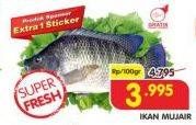 Promo Harga Ikan Mujair per 100 gr - Superindo