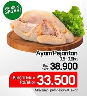 Promo Harga Ayam Pejantan 500 gr - Lotte Grosir