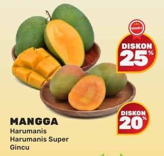 Promo Harga Mangga Harumanis/Harumanis Super/Gincu  - Yogya