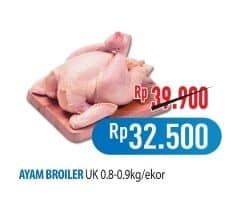 Promo Harga Ayam Broiler 800 gr - Hypermart