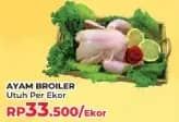 Promo Harga Ayam Broiler 800 gr - Yogya