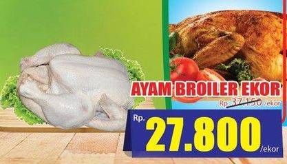 Promo Harga Ayam Broiler  - Hari Hari