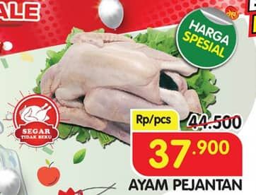 Promo Harga Ayam Pejantan 500 gr - Superindo