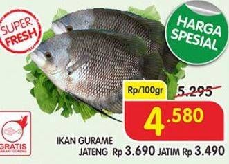 Promo Harga Ikan Gurame per 100 gr - Superindo