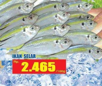 Promo Harga Ikan Selar per 100 gr - Hari Hari