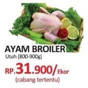 Promo Harga Ayam Broiler  - Yogya