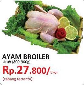 Promo Harga Ayam Broiler  - Yogya