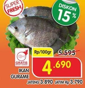 Promo Harga Ikan Gurame per 100 gr - Superindo