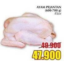 Promo Harga Ayam Pejantan  - Giant