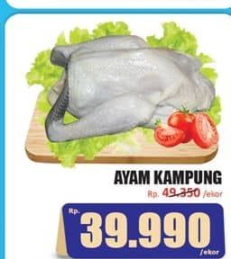 Promo Harga Ayam Kampung 500 gr - Hari Hari