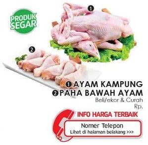 Promo Harga Ayam Kampung/Paha Bawah Ayam  - Lotte Grosir