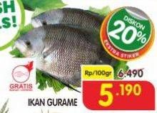 Promo Harga Ikan Gurame per 100 gr - Superindo