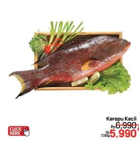 Promo Harga Ikan Kerapu Kecil per 100 gr - LotteMart
