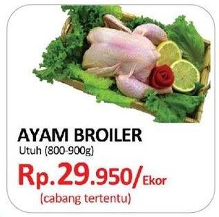 Promo Harga Ayam Broiler  - Yogya