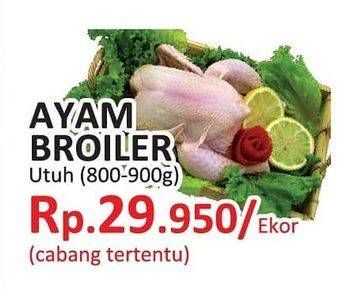 Promo Harga Ayam Broiler  - Yogya