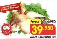 Promo Harga Ayam Kampung  - Superindo