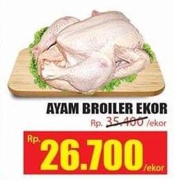 Promo Harga Ayam Broiler  - Hari Hari