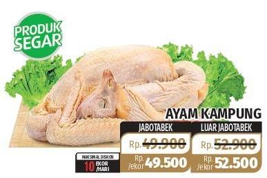 Promo Harga Ayam Kampung  - Lotte Grosir