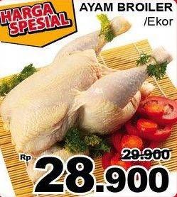 Promo Harga Ayam Broiler  - Giant