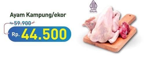 Promo Harga Ayam Kampung 500 gr - Hypermart