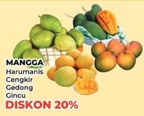 Promo Harga Mangga  - Yogya