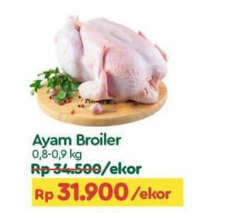 Promo Harga Ayam Broiler 800 gr - TIP TOP