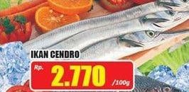 Promo Harga Ikan Cendro per 100 gr - Hari Hari