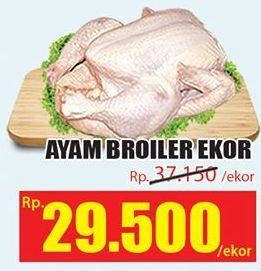 Promo Harga Ayam Broiler  - Hari Hari