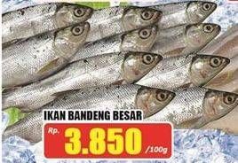 Promo Harga Ikan Bandeng Besar per 100 gr - Hari Hari